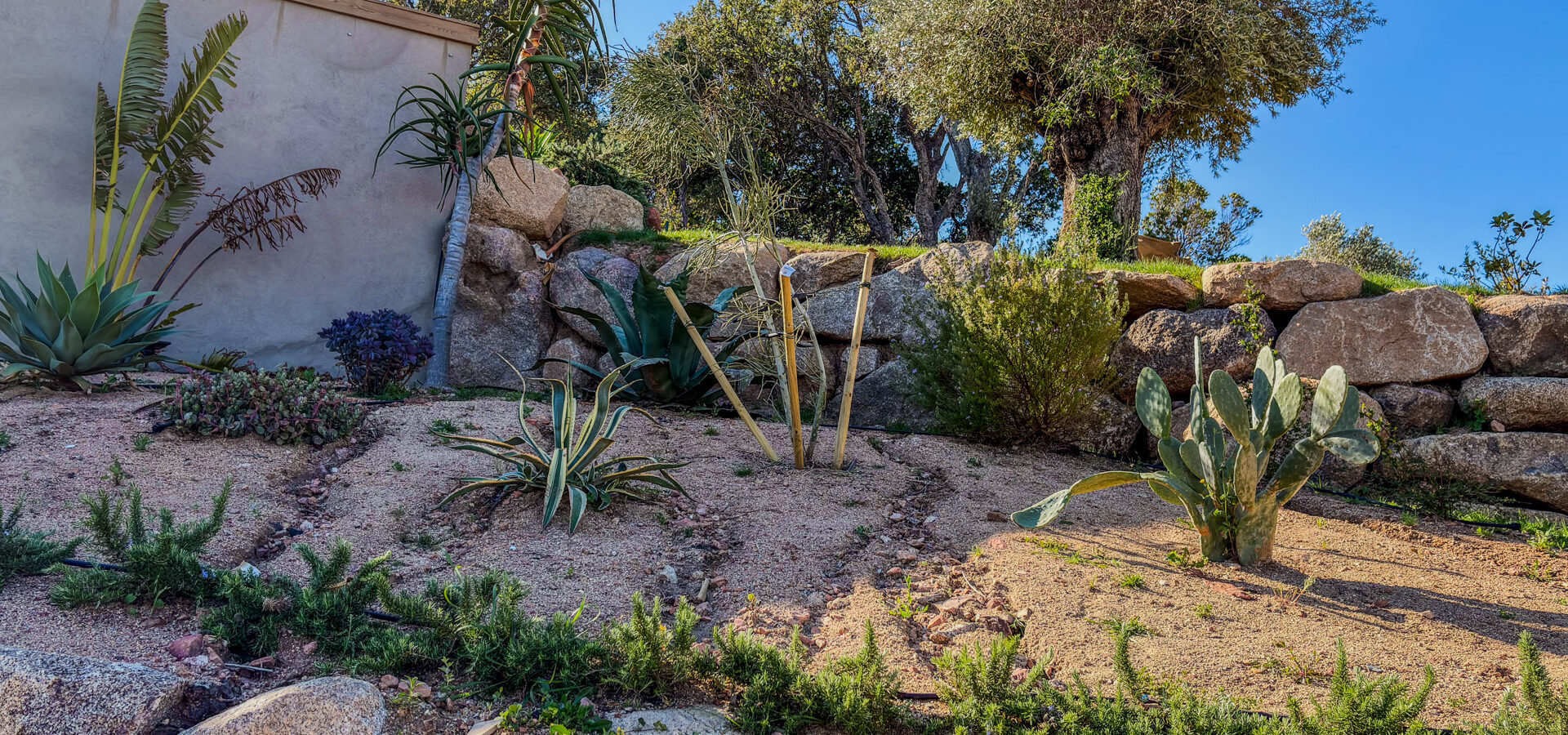 Jardin et piscine - CASA DAMICHI-6